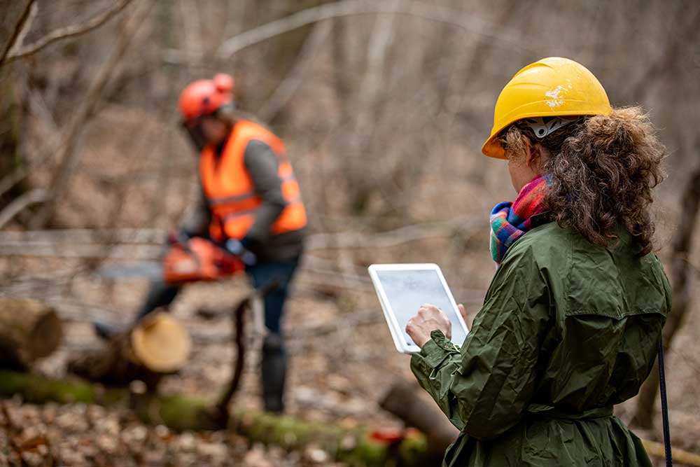 Master’s in Organizational Leadership: Sustainability Degree Online a woman in a forest supervising a sustainability project